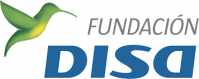 logo-fundacion-disa